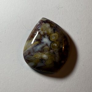 Petrified Palm Root (005)