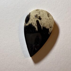 Petrified Palm Root (376)