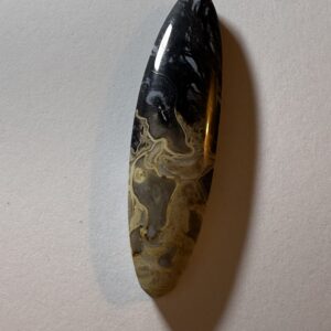 Petrified Palm Root (072)