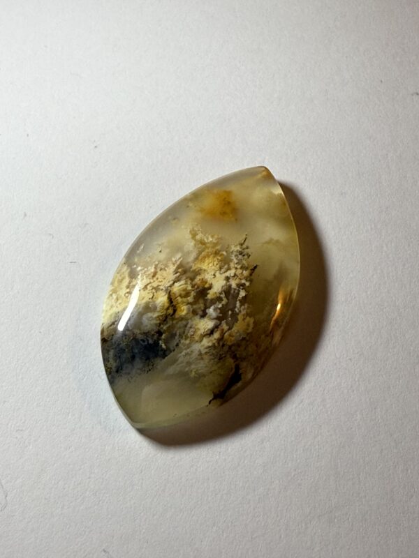 Pink Lady Plume Agate (54)