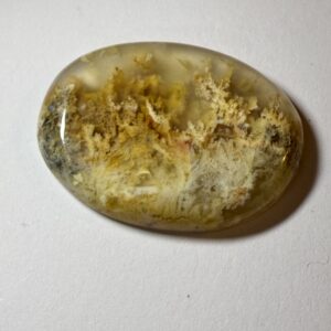 Plume agate (102)