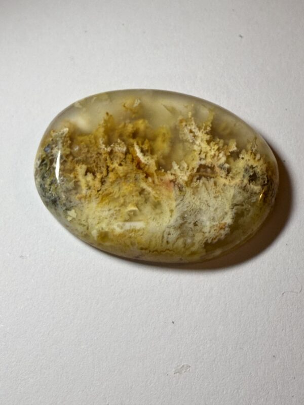 Plume agate (102)