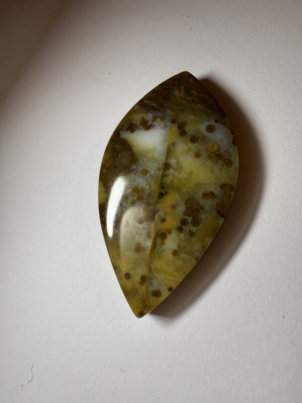 Polka Dot Agate (016)