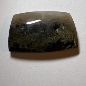 Prudent Man Plume Agate (100)
