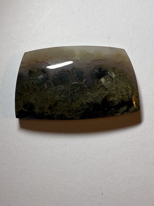 Prudent Man Plume Agate (100)