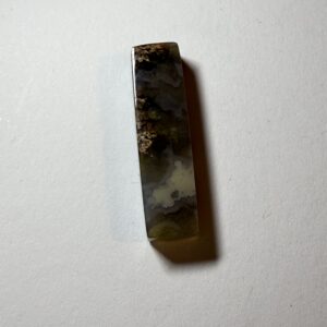 Prudent Man Plume Agate (181)