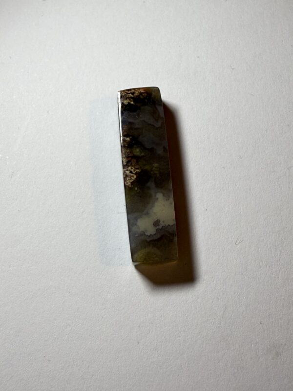 Prudent Man Plume Agate (181)