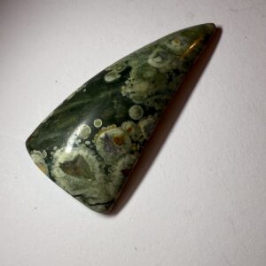 Rain Forest Jasper (053)
