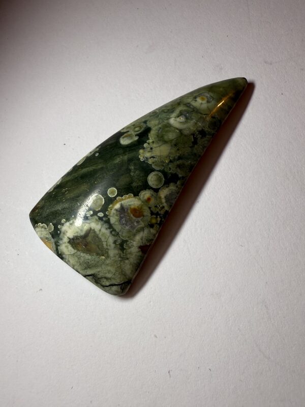 Rain Forest Jasper (053)