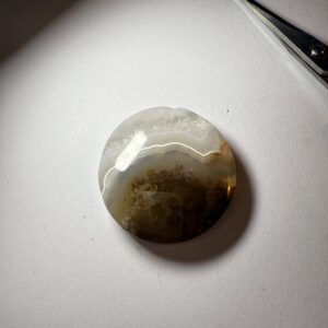 Ternate Plume Agate (814)