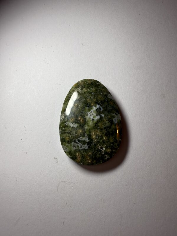 Tree Agate (497)