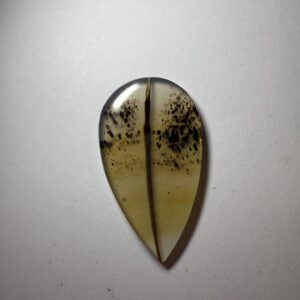 Montana Moss Agate (483)