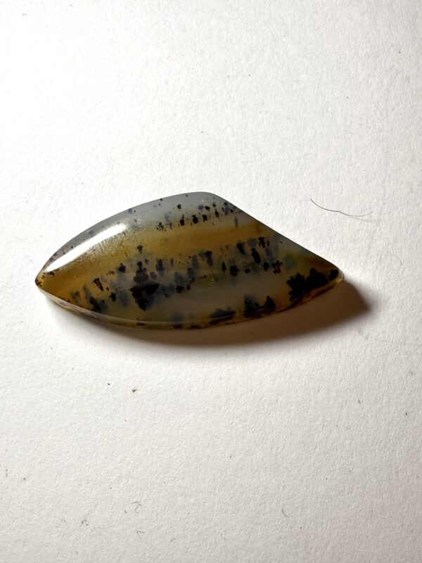 Montana Agate (031)
