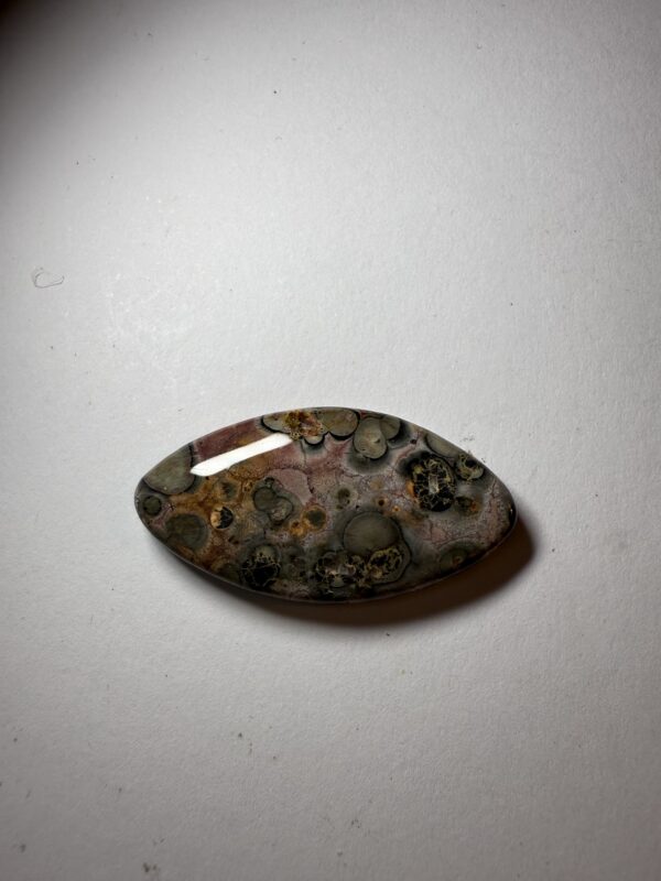Leopardskin Jasper  (243)