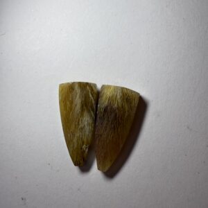 Fossil Sea Grass Agate (876)