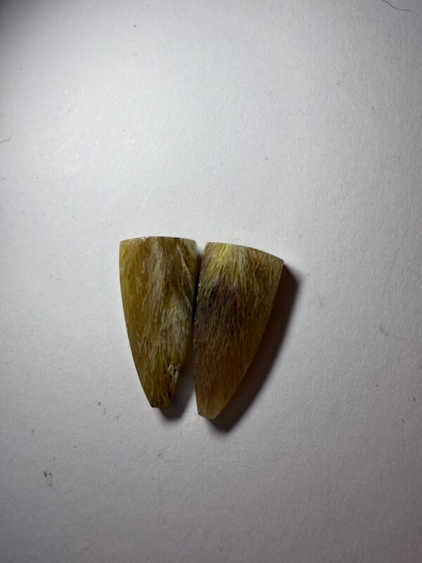 Fossil Sea Grass Agate (876)