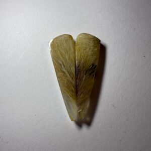 Fossil Sea Grass Agate Pair  (873)