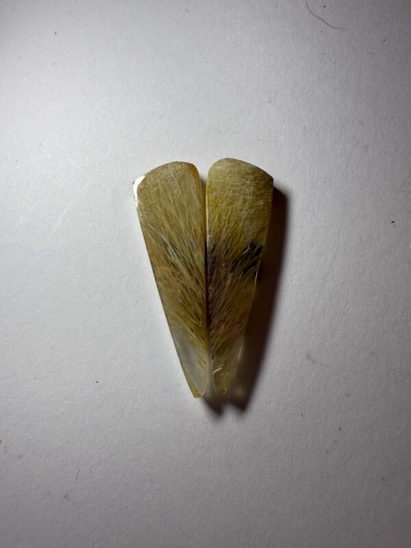 Fossil Sea Grass Agate Pair  (873)