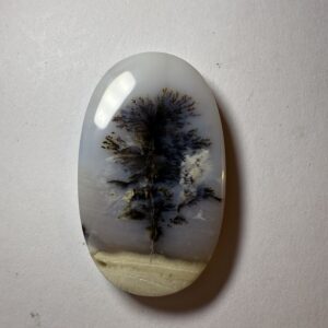 Dendritic Agate (339)