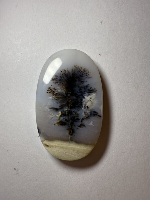 Dendritic Agate (339)