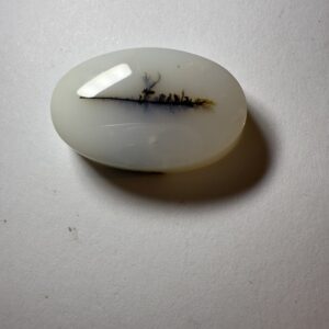 Dendritic Agate Opal (329)