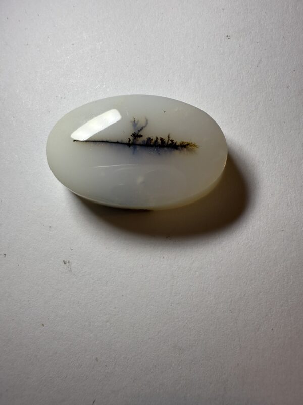 Dendritic Agate Opal (329)