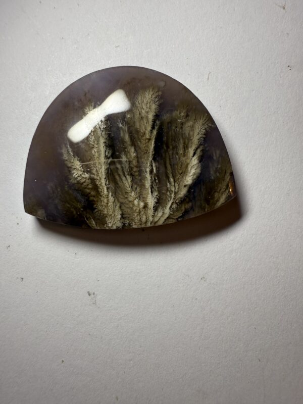 Dendritic Agate (330)