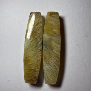 Fossil sea grass agate (877)