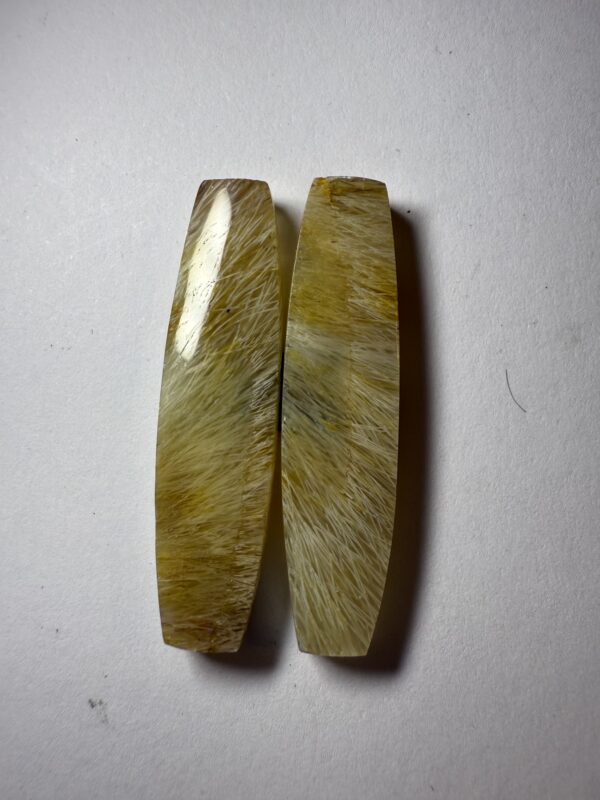Fossil sea grass agate (877)