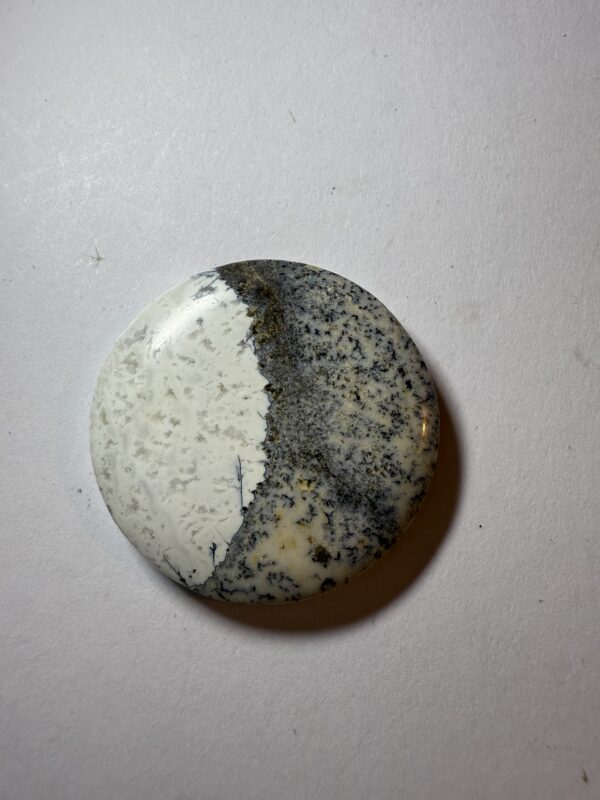 Dendritic Jasper (886)