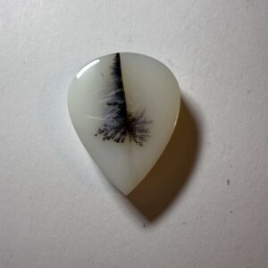 Dendritic Agate  (340)