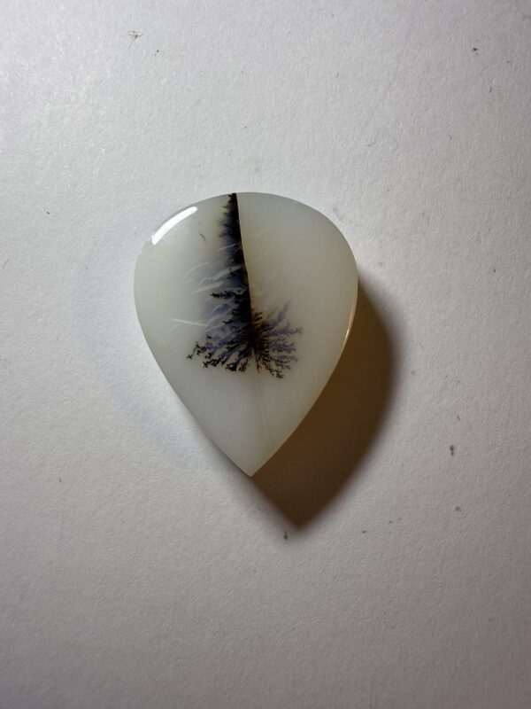 Dendritic Agate  (340)