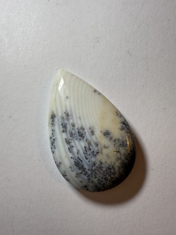 Dendritic Jasper (883)