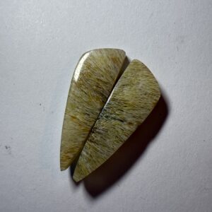 Fossil sea grass agate (878)