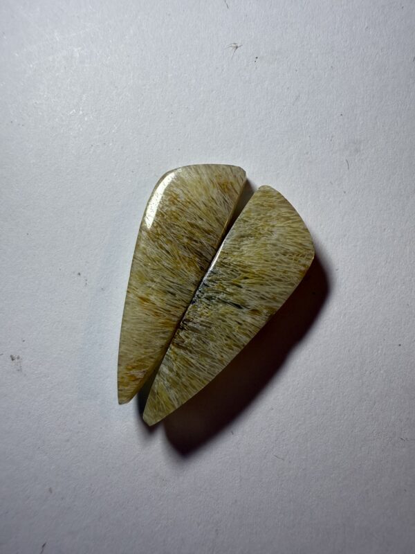 Fossil sea grass agate (878)