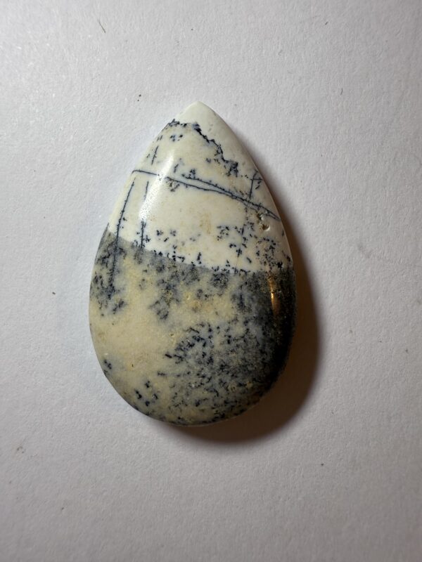 Dendritic Jasper (891)