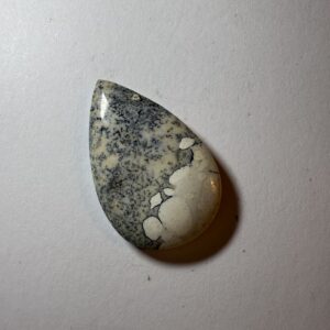 Dendritic Jasper (884)