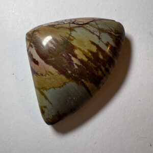 Desert Camel Jasper (534)