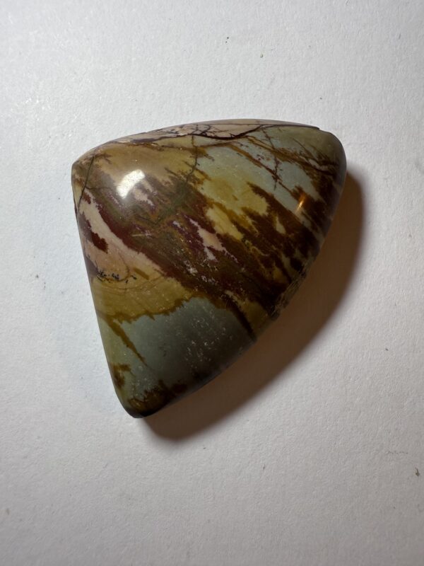 Desert Camel Jasper (534)