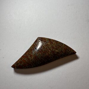 Dino Bone (168)