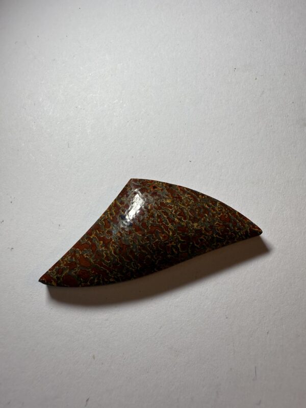 Dino Bone (168)