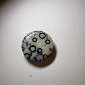 Dendritic Snow Quartz with Jet Inlay (160)