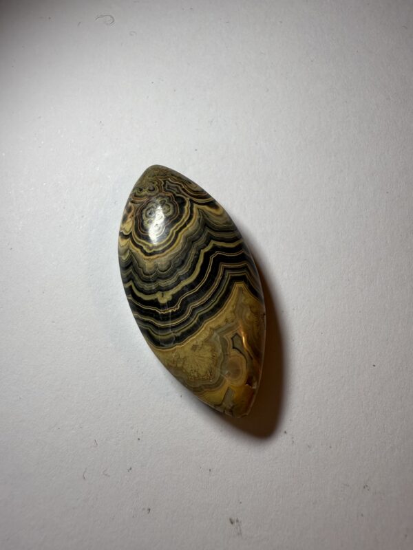 Flowering Tube Agate (320)