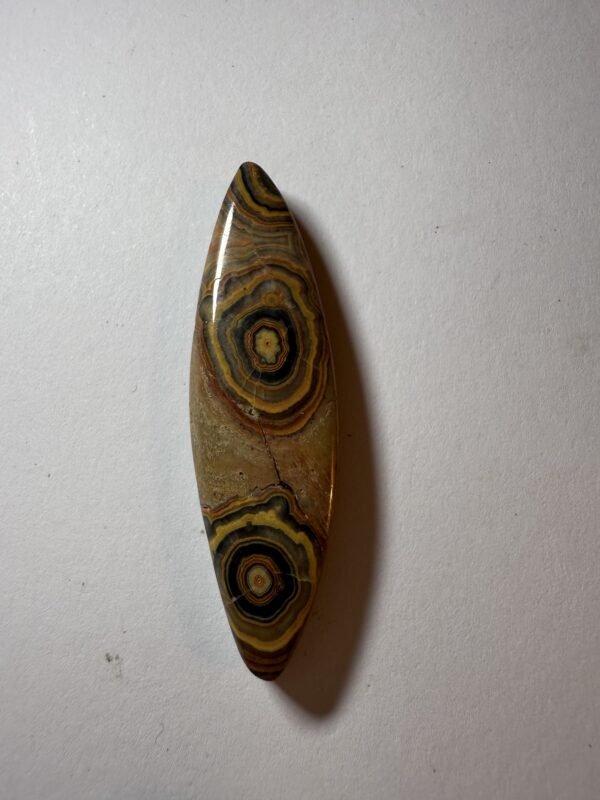 Flowering Tube Onyx (230)