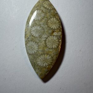 Flowering Coral Agate  (313)