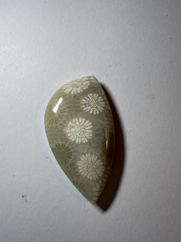 Flowering Coral Agate (312)