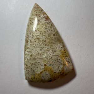 Flowering coral agate (311)