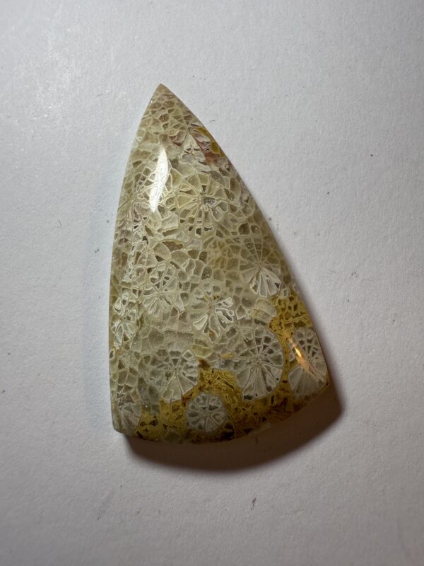 Flowering coral agate (311)