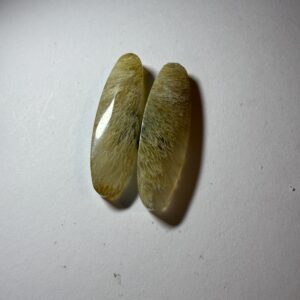 Fossil sea grass agate (879)