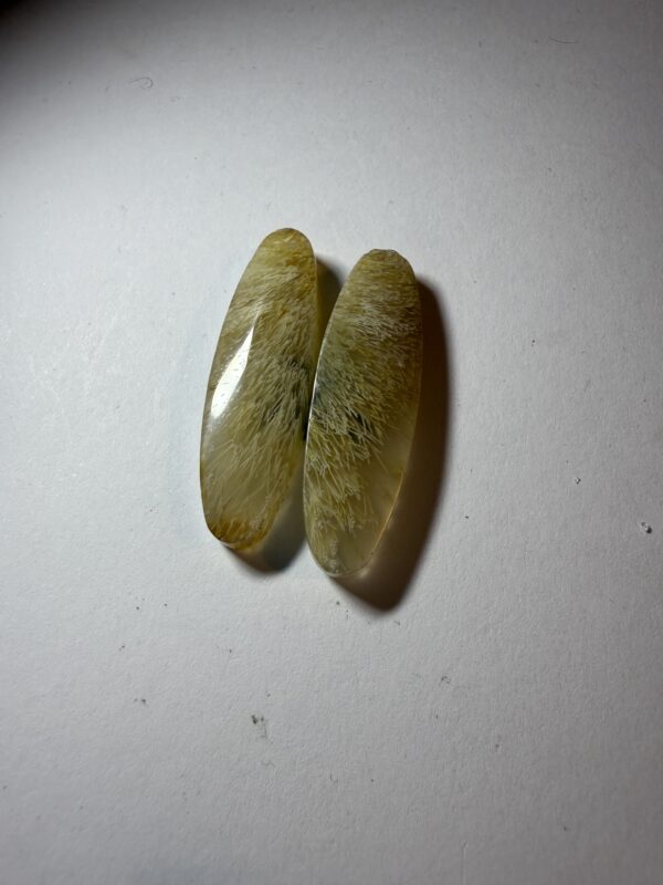 Fossil sea grass agate (879)